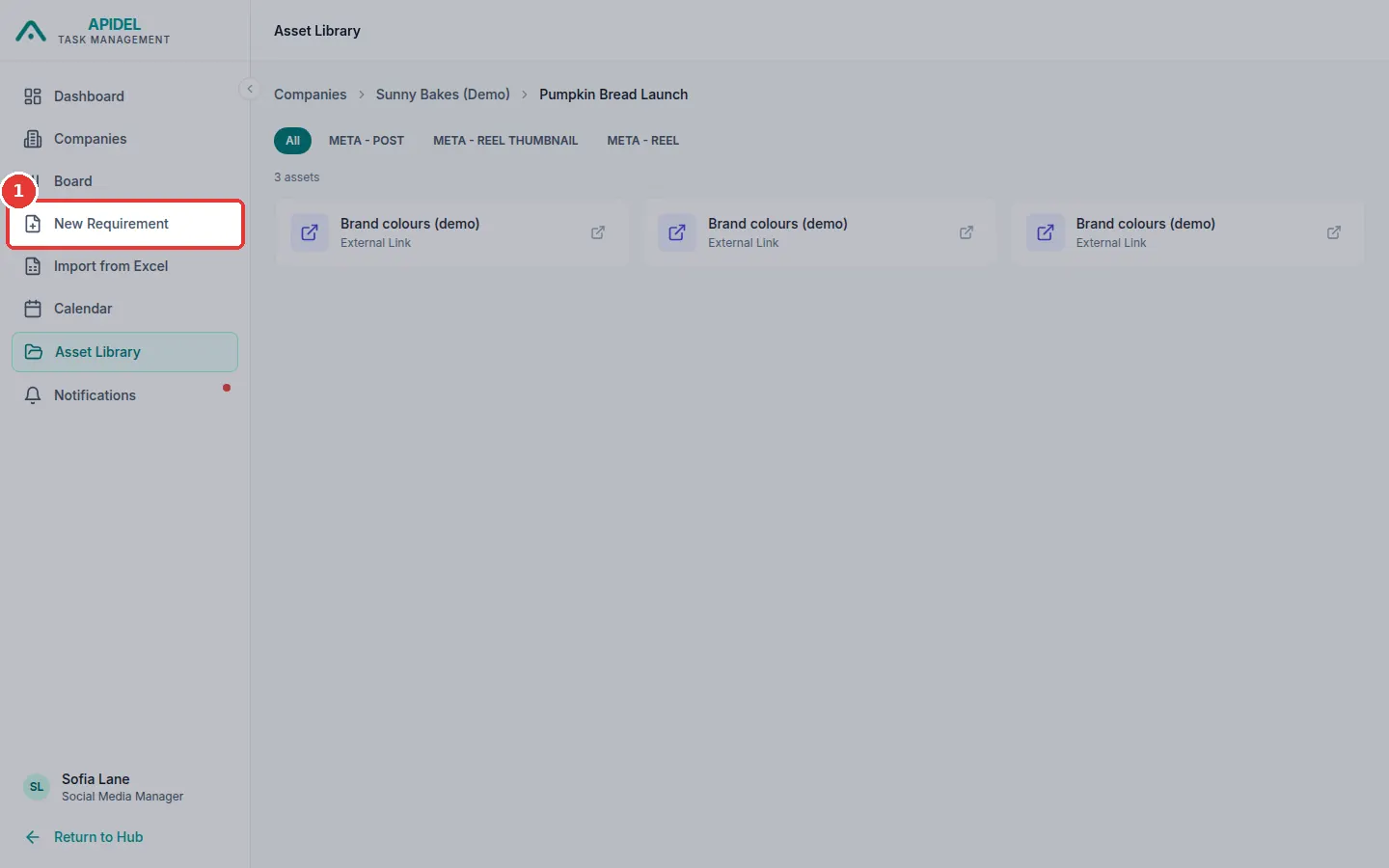The full screen. The red box shows the New Requirement button.