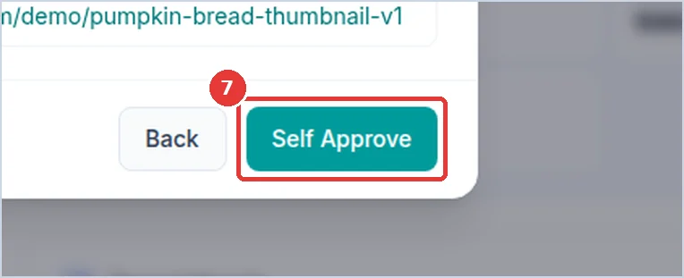 Close-up: the Self Approve button